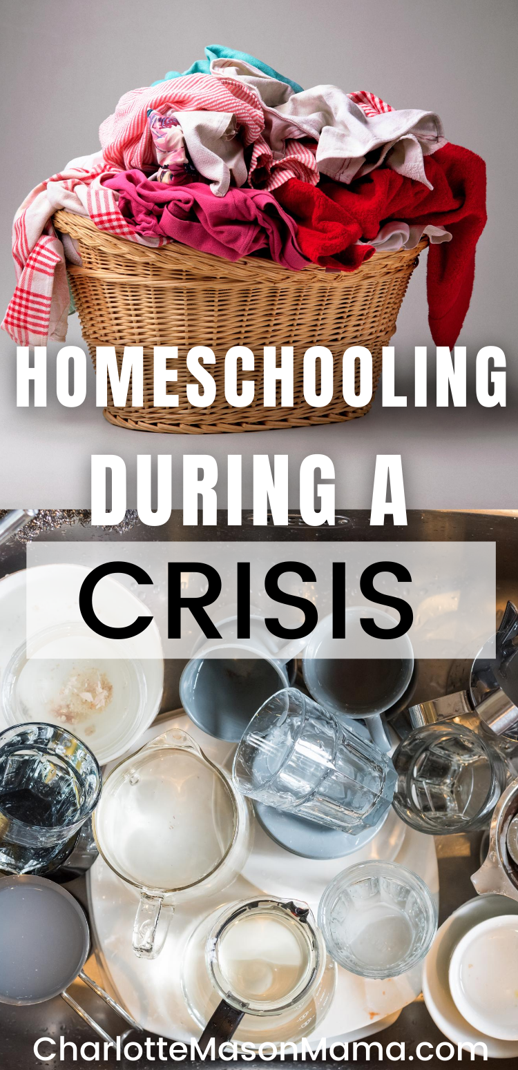 Homeschooling during a Crisis