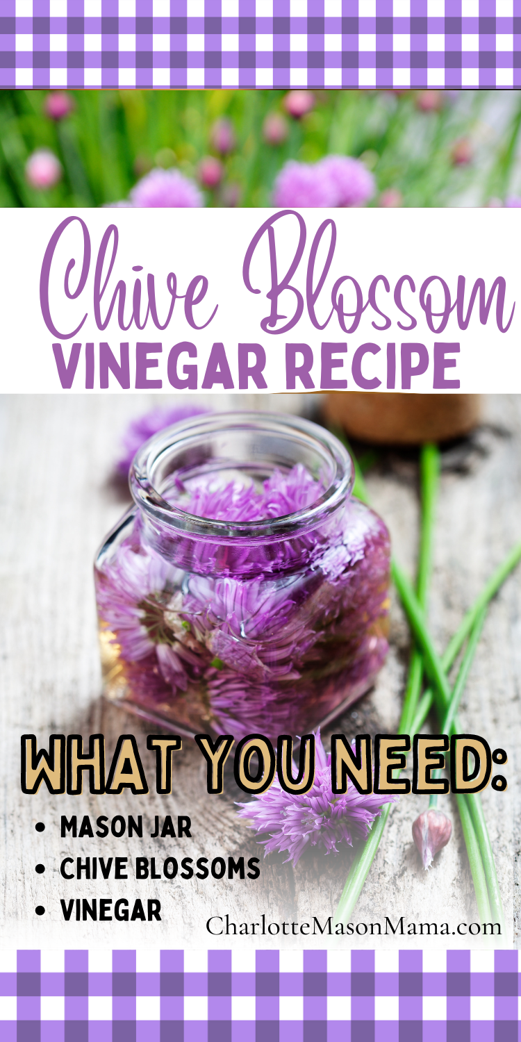 How to Make Chive Blossom Vinegar