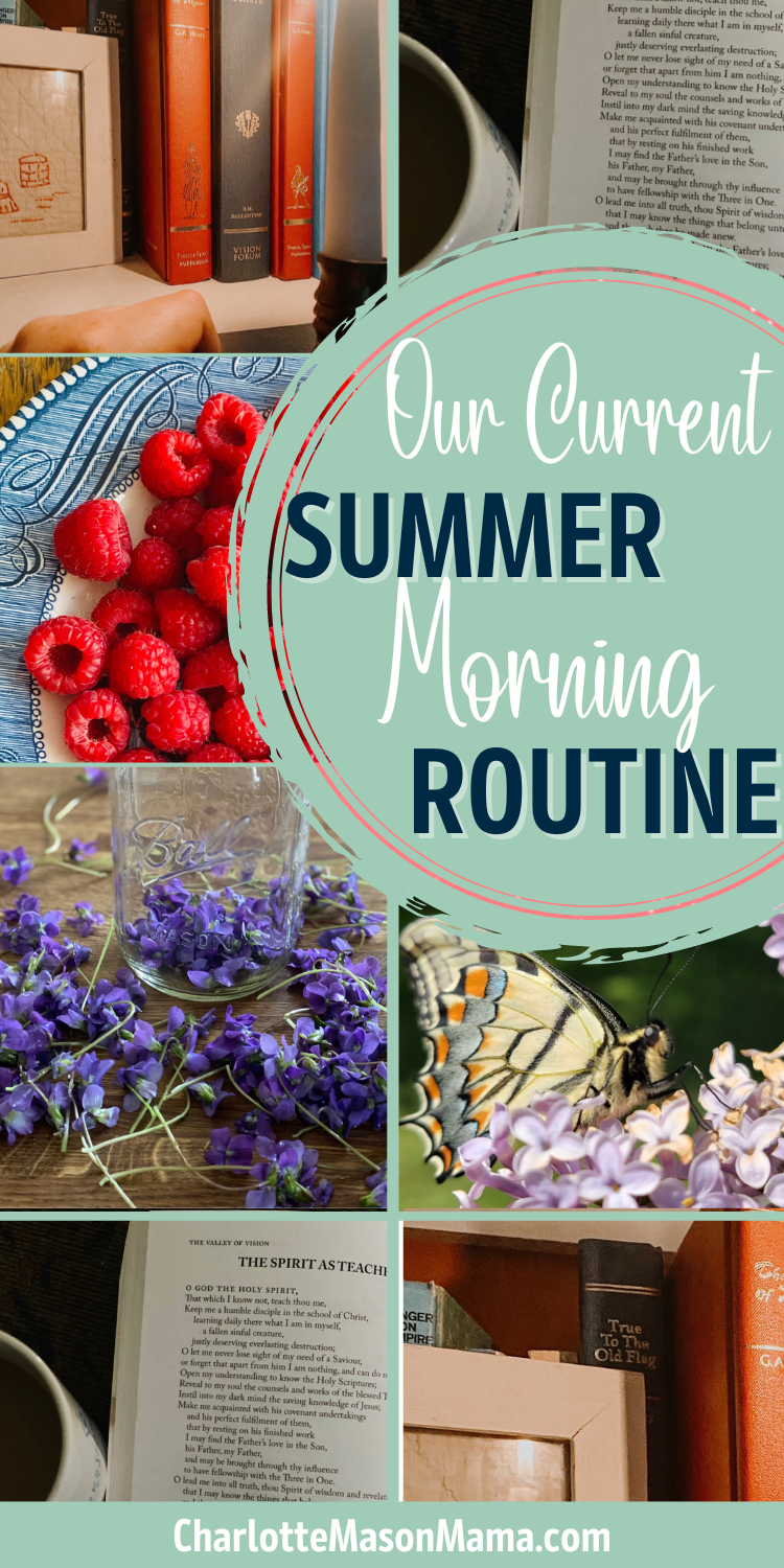 Our Summer Morning Routine-Gentle, Seasonal, Intentional Living…