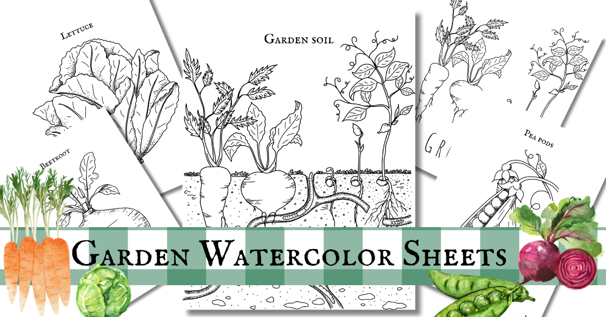 Garden Vegetable Watercolor Sheets