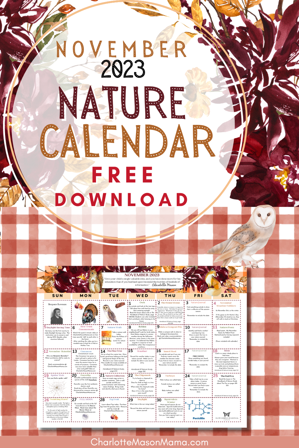 November Nature Calendar