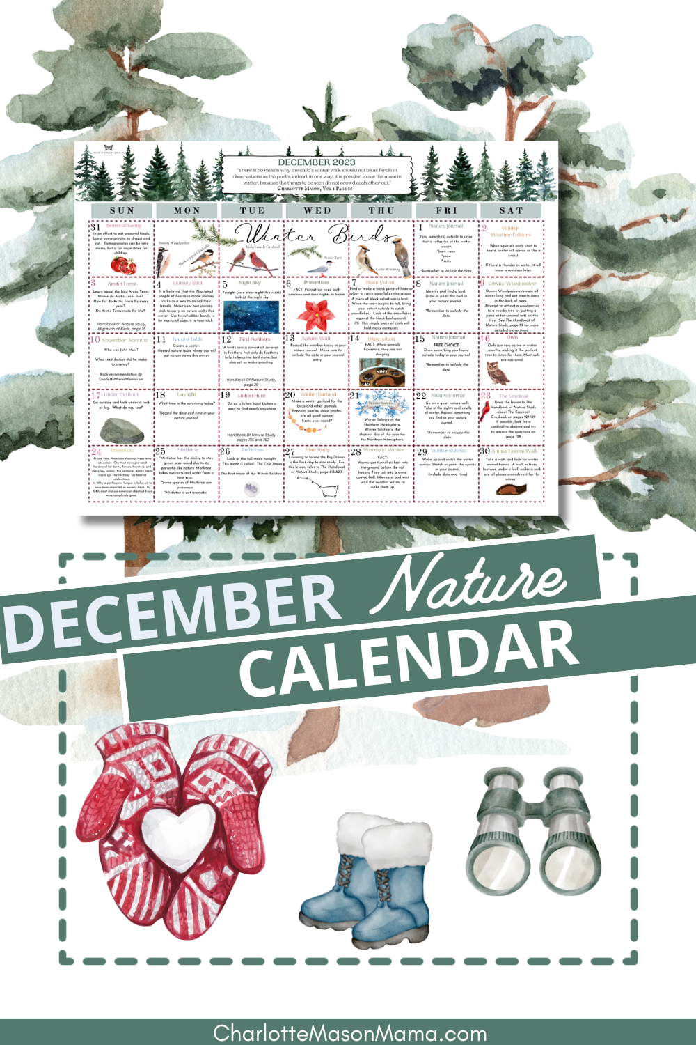 December 2023 Nature Calendar