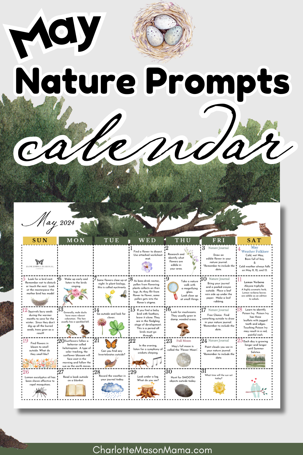 May 2024 Nature Calendar